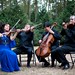 Borealis String Quartet