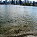 View to downtown from Brockton Point Stanley Park