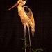 Secret Lantern Society - Heron Lantern